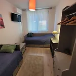 Tulip 3*