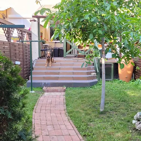 Tulip Guest house Vac