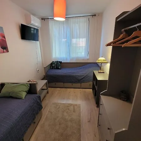 Tulip 3*