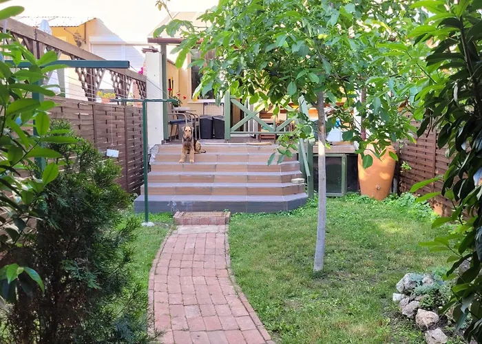Tulip Guest house Vac
