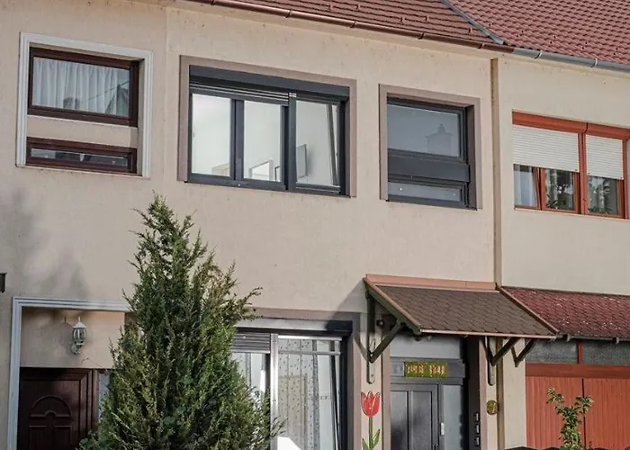Tulip Guest house Vac